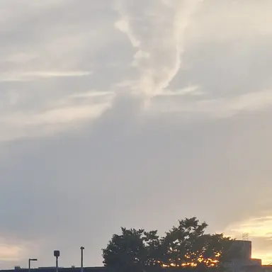 Profile image of 수현