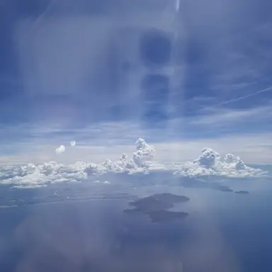 Profile image of 라더