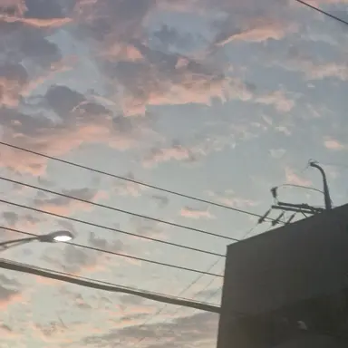 Profile image of 공룡