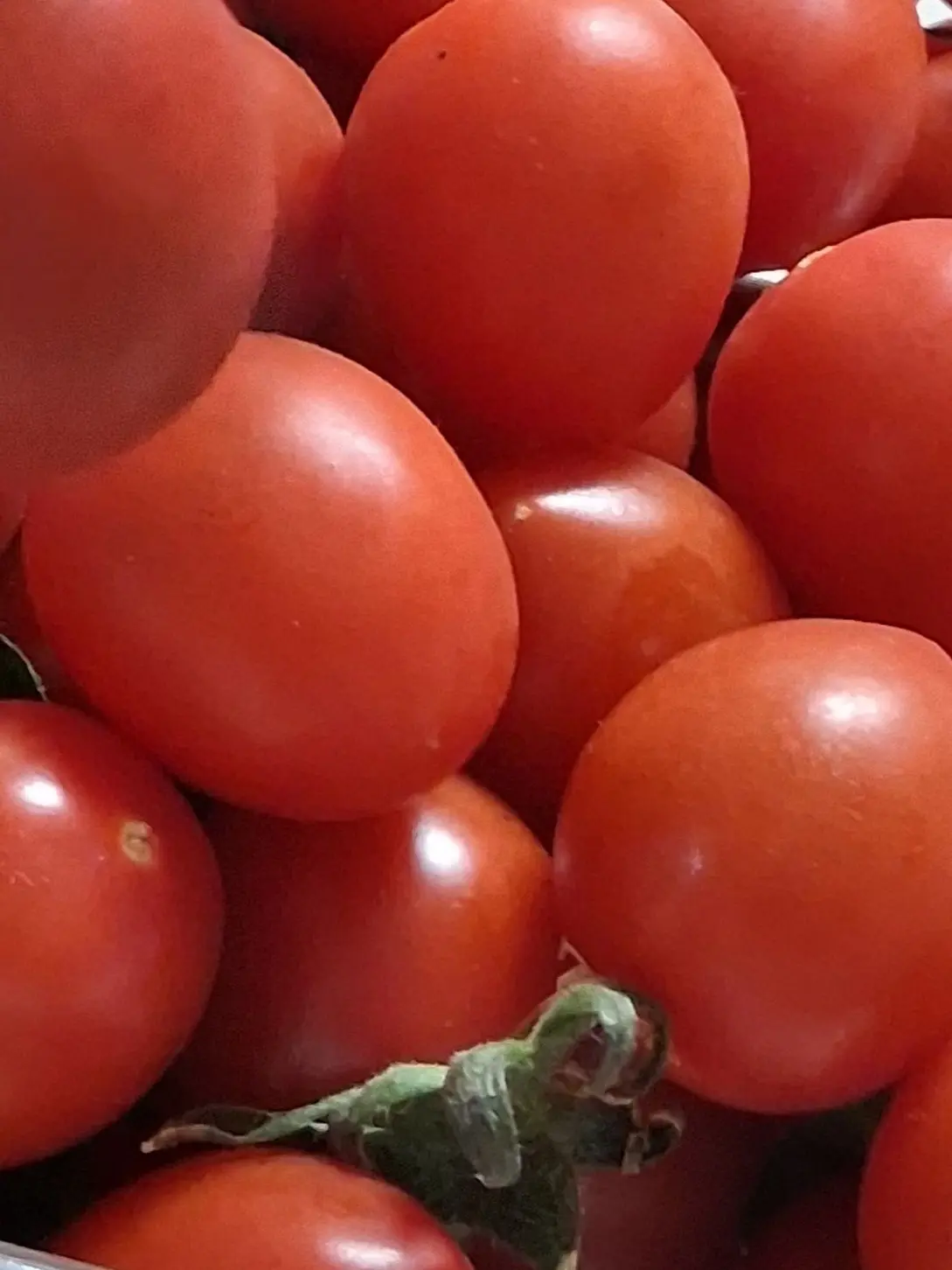 Woozi_love_S2의 랜덤통화에서 만난 그 사람.