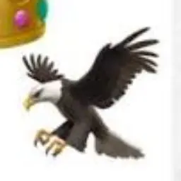 Profile image of Ran