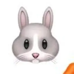 Profile image of Seito