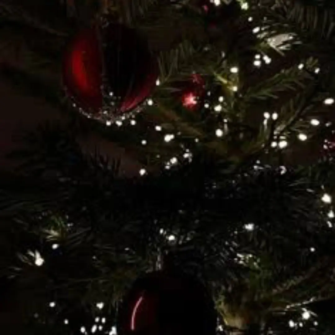 Kimseo0의 ㄱㅈㄱ