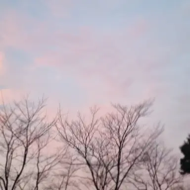 Profile image of 렌고쿠 쿄주로