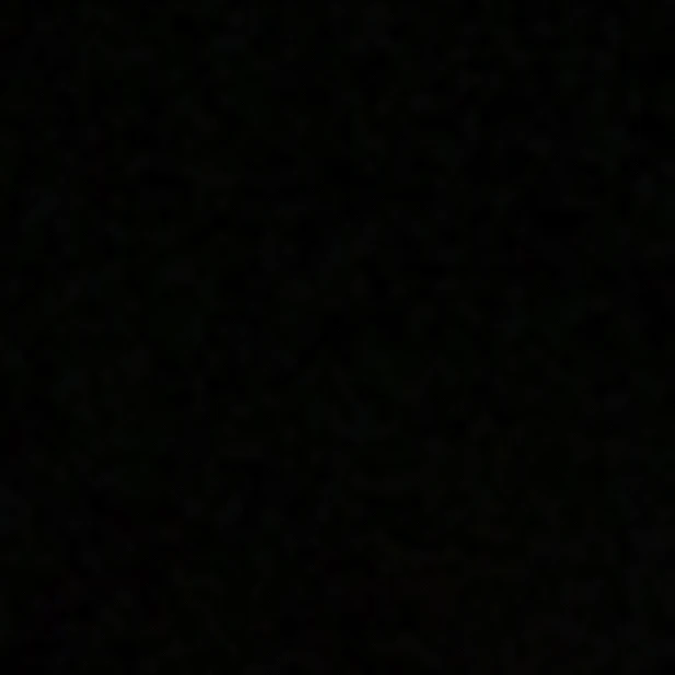 초심불망