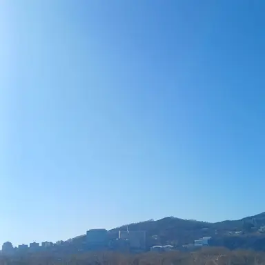 Profile image of 잠경위