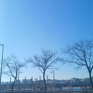 Profile image of 공경장