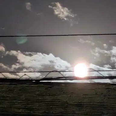 Profile image of 夜の公園