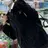 박현아