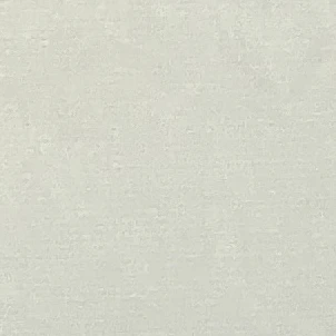 김지한