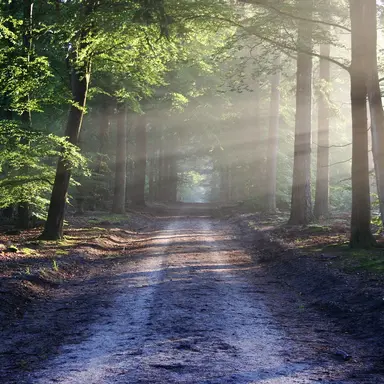 Profile image of 加賀美ハヤト