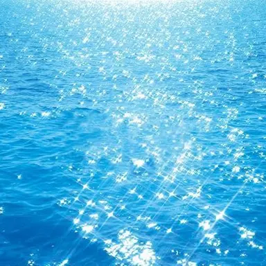 Profile image of 파이브