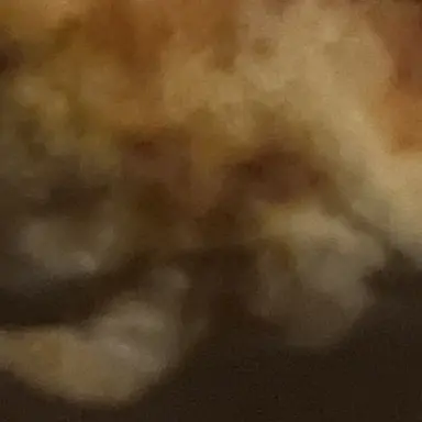 Profile image of 원태인