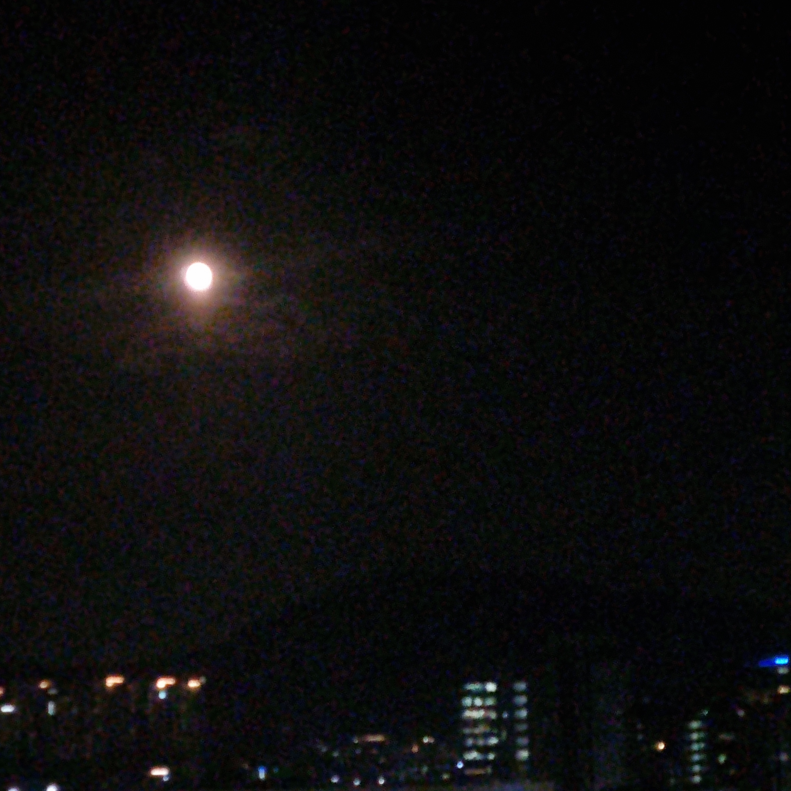 2P뜰팁조직 대표 이미지