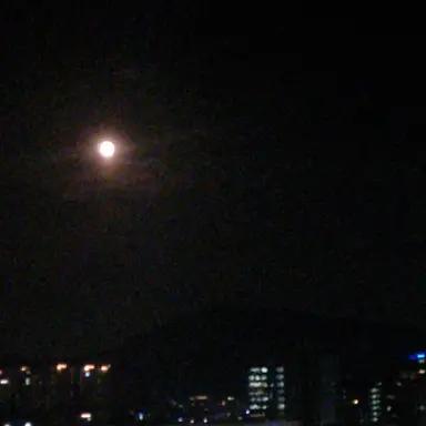 Profile image of 2P뜰팁조직