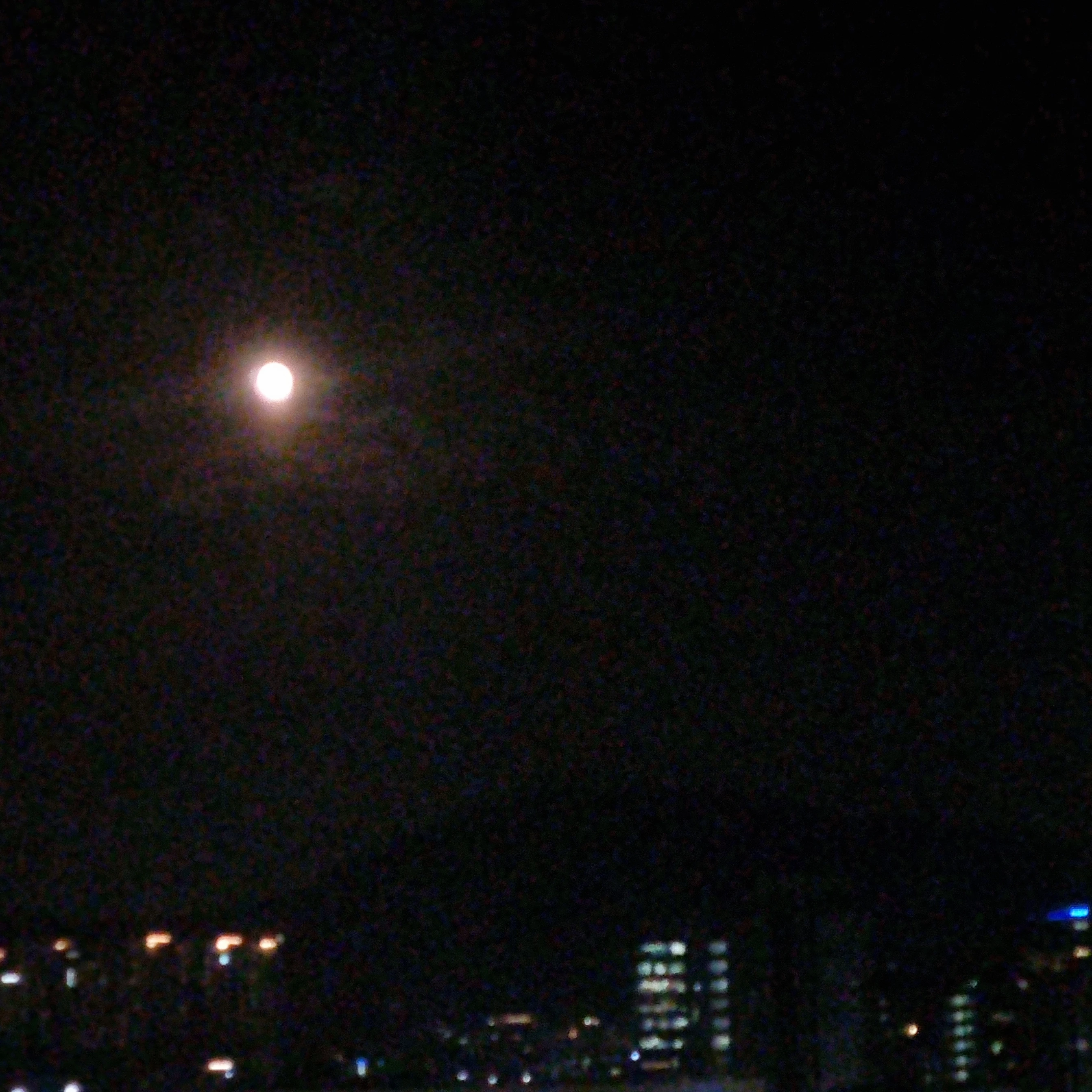 2P뜰팁조직