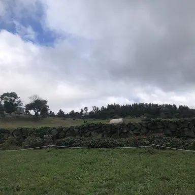 Profile image of 한태양