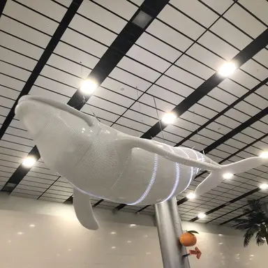 Profile image of 목나경