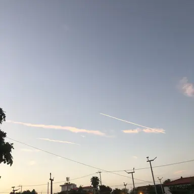 Profile image of 김도영