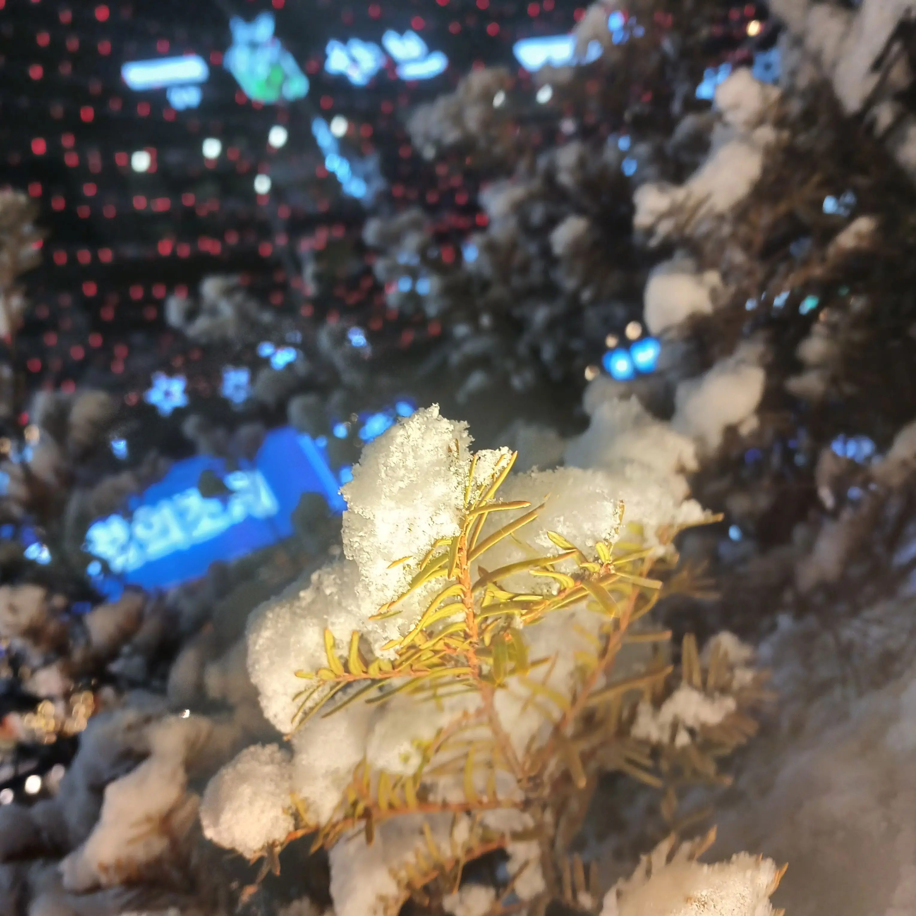 26year의 고고프렌즈+가족물+소풍+아픔?