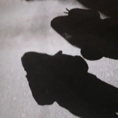 Profile image of 이혁준