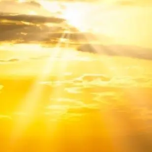 Profile image of 세로