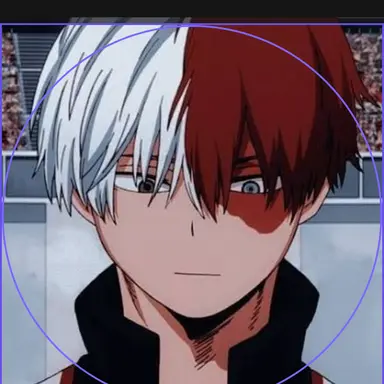Profile image of Shoto todoroki