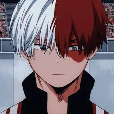 Profile image of Shoto todoroki