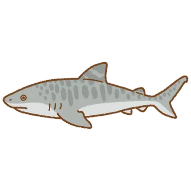 Profile image of いたっち