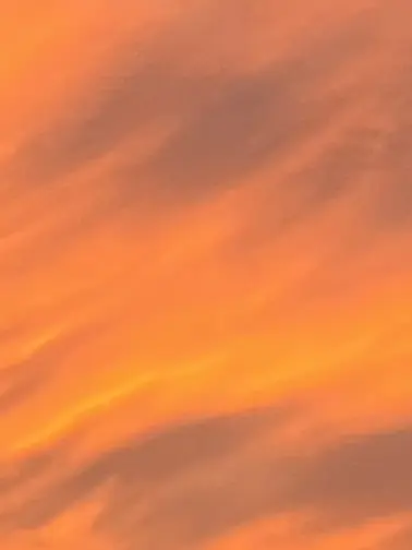 DrunkQuill2444의 나는 인간입니다