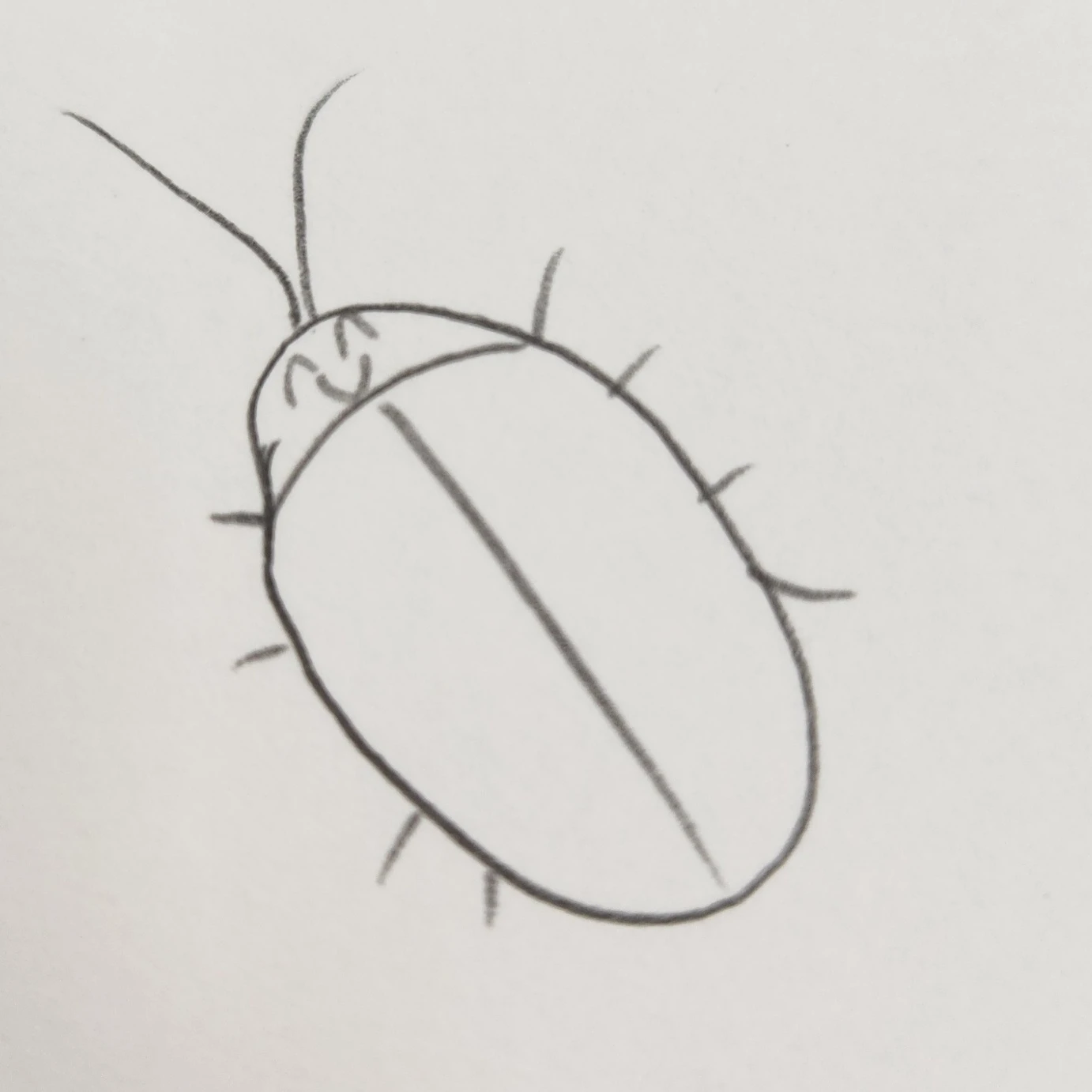 바퀴선생