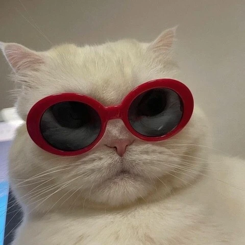 똘이