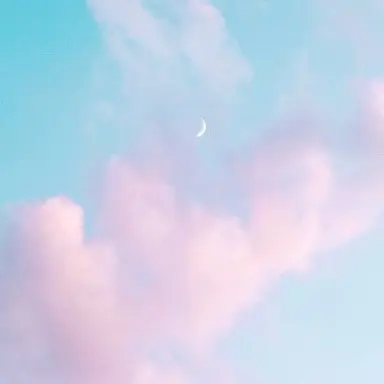 Profile image of 멜로우