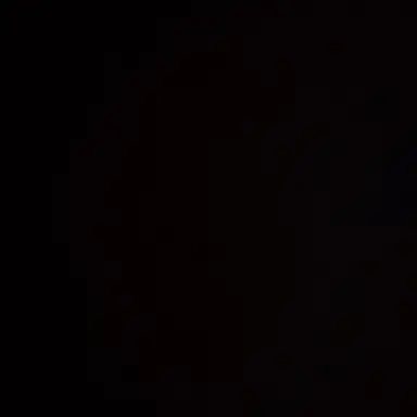 Profile image of 조우안신