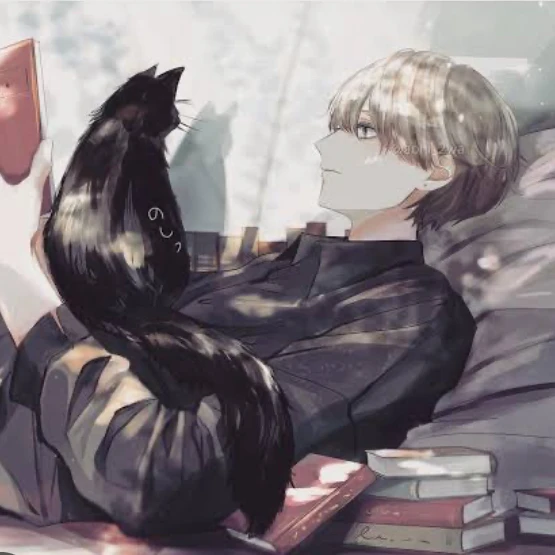 猫のいる暮らし