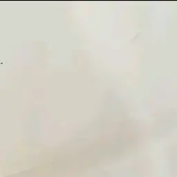 Profile image of 꽥