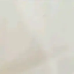 Profile image of 이핑구