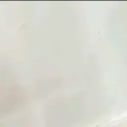 Profile image of 채스터