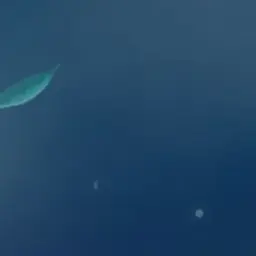 Profile image of 공룡