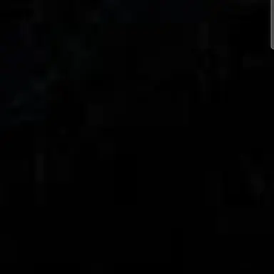 Profile image of 박지훈