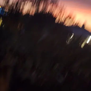 Profile image of Liam