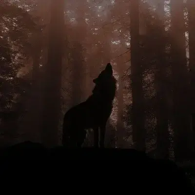 TenderToe8048의 Werewolf x Vampire