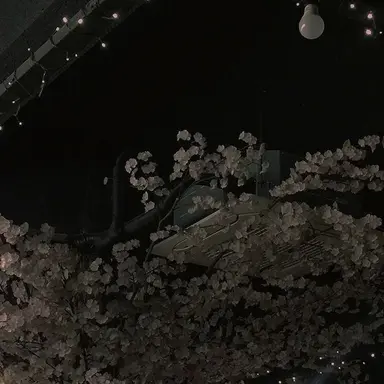 Profile image of 우융