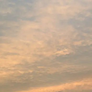 Profile image of 제이