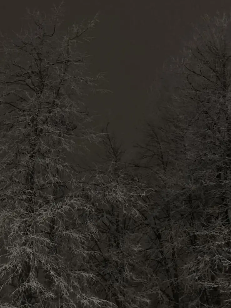 LeaseForte1105의 🕳