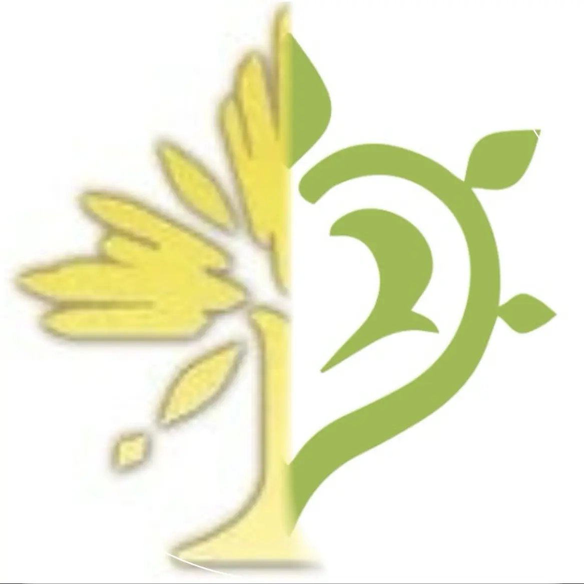 GustyRipe6294의 풀과 허수-원신-붕스타