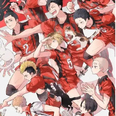 Profile image of Nekoma & Fukurodani