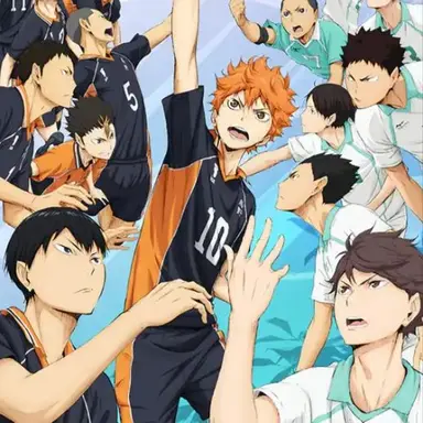 Profile image of Karasuno & Aoba Johsai