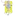료딘