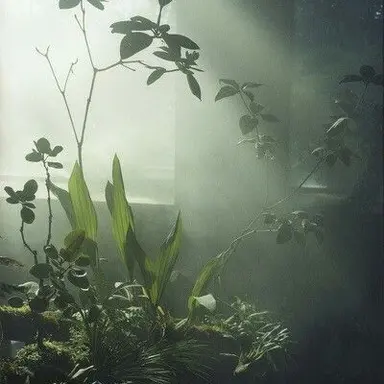Profile image of 벨로로